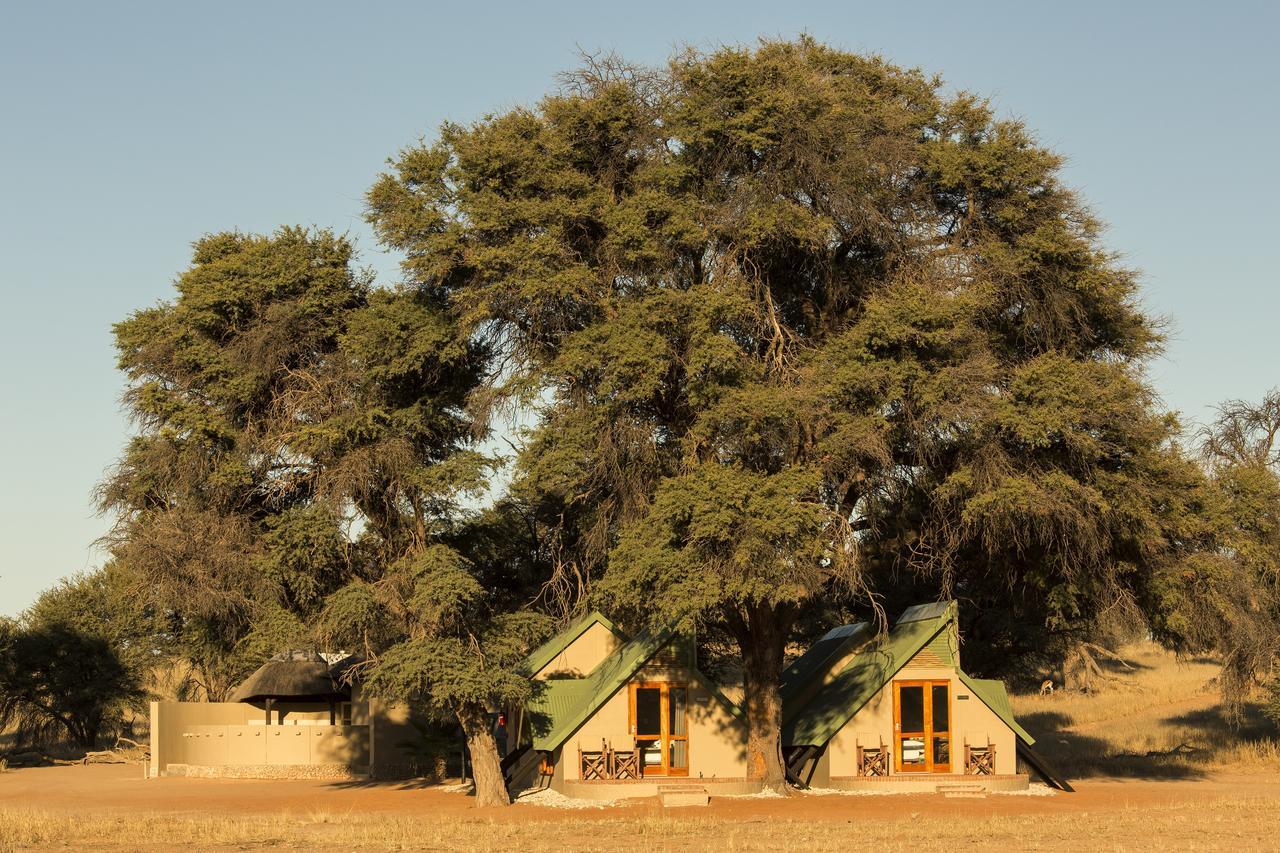 Kalahari Game Lodge Koës Habitación foto